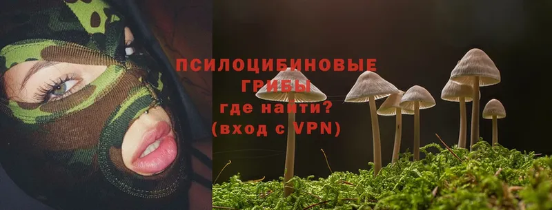 Галлюциногенные грибы MAGIC MUSHROOMS  Великий Устюг 